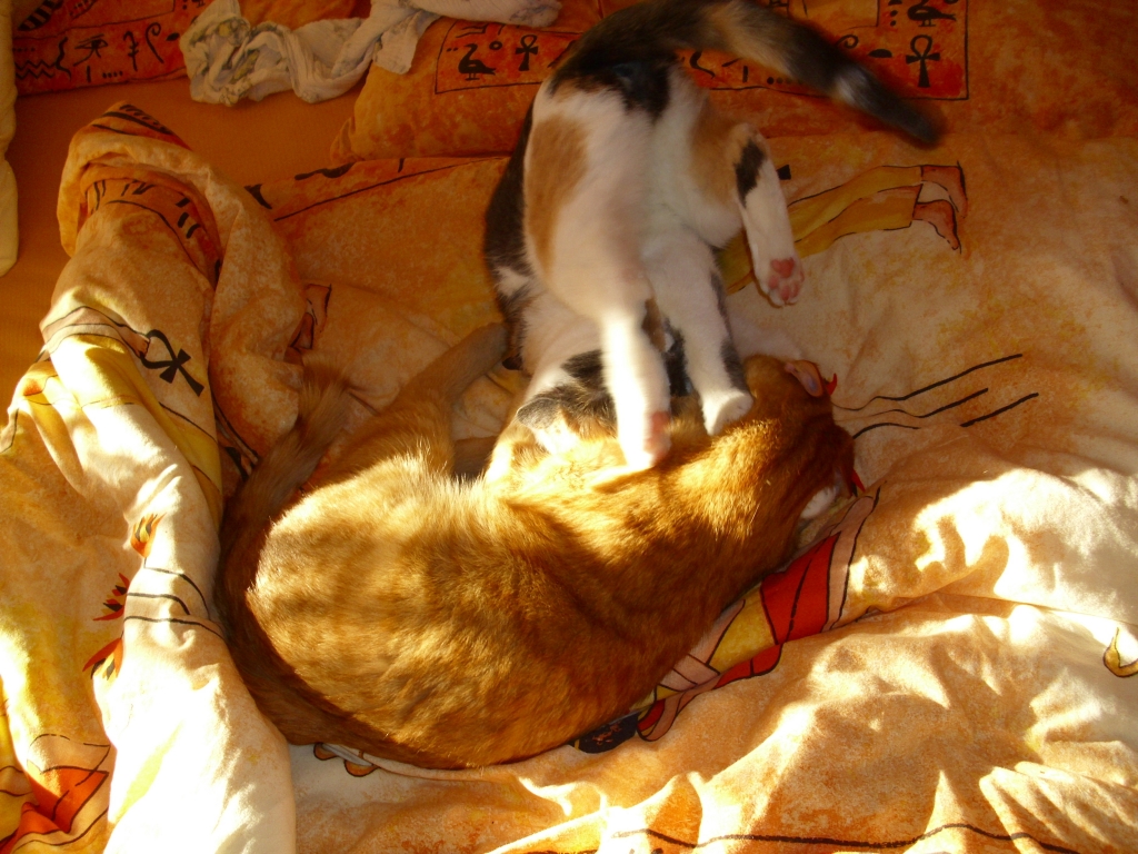 Isis und Ramses