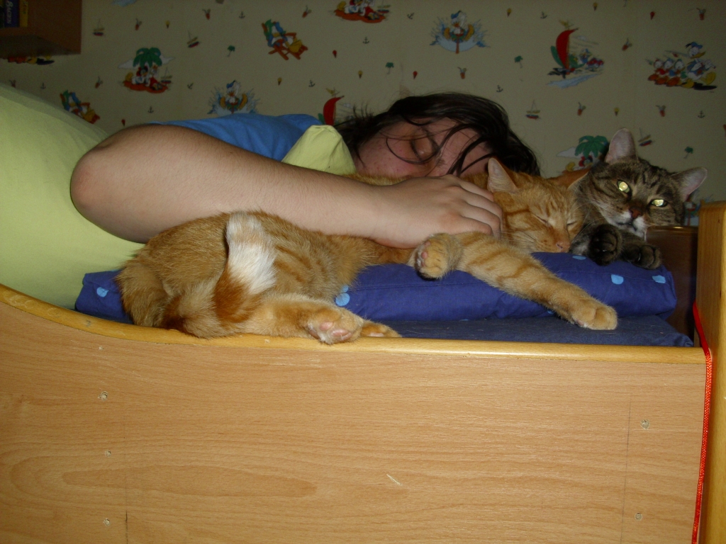 Dominik mit Minki und Ramses
