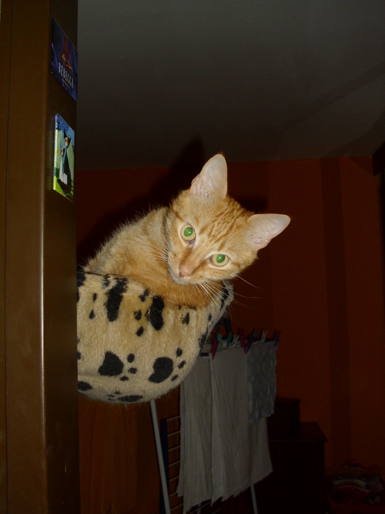 Ramses