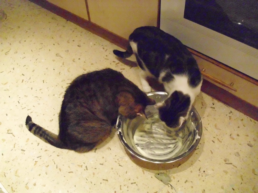 Minki und Osiris