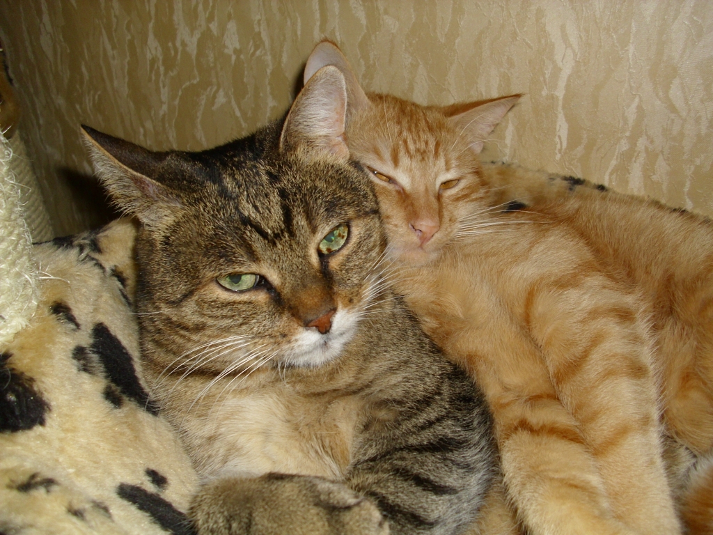 Minki und Ramses