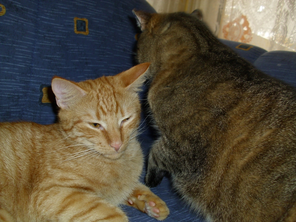 Minki und Ramses