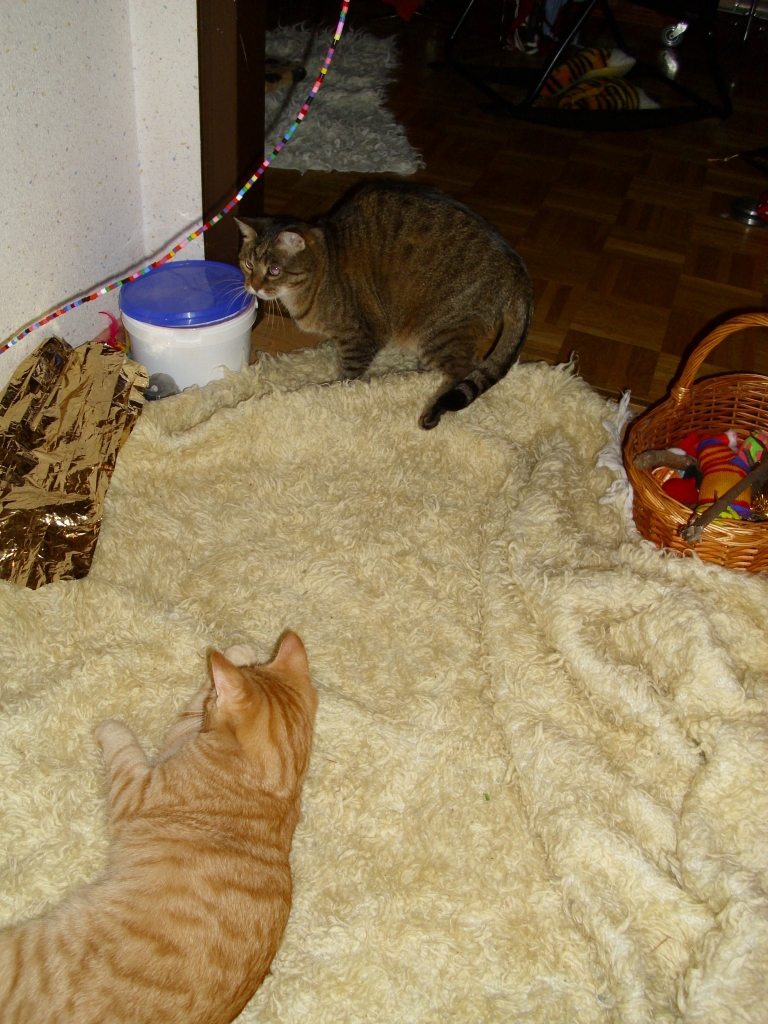 Minki und Ramses