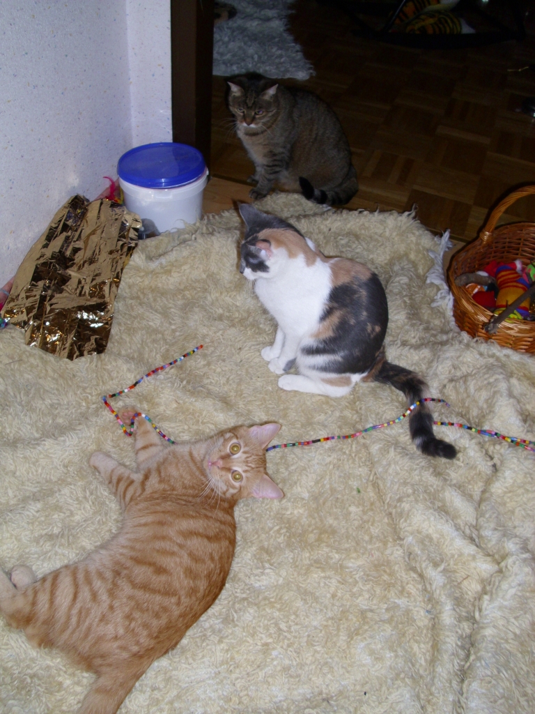 Minki, Isis und Ramses