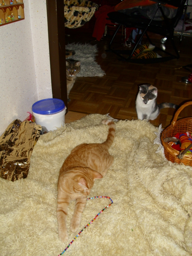 Minki, Isis und Ramses