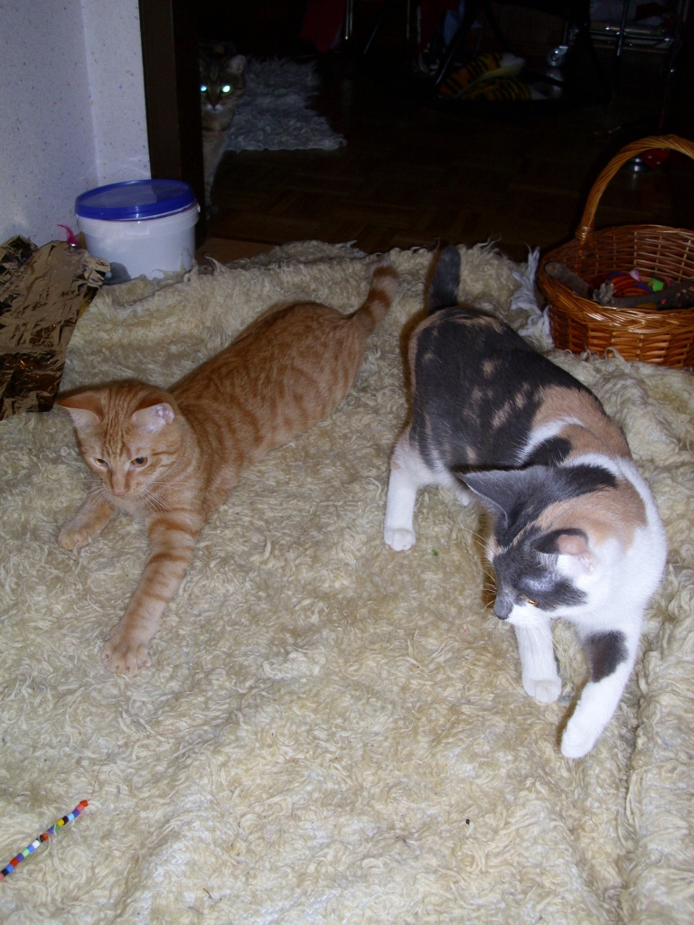 Minki, Isis und Ramses