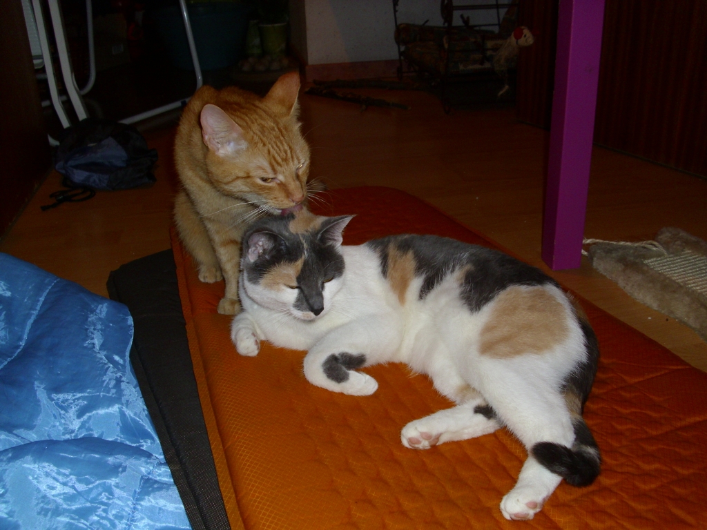 Isis und Ramses