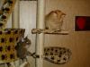 Minki, Ramses Minki, Ramses