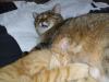 Minki und Ramses Minki und Ramses
