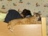 Ramses und Minki Ramses und Minki