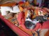 Minki, Isis und Ramses Minki, Isis und Ramses