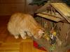 Ramses mit Krippe Ramses mit Krippe