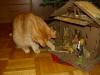 Ramses mit Krippe Ramses mit Krippe