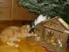 Ramses und Isis bei der Krippe Ramses und Isis bei der Krippe