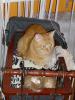 Ramses Ramses