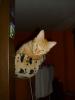 Ramses Ramses