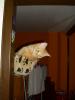 Ramses Ramses