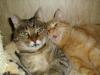 Minki und Ramses Minki und Ramses