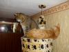 Minki und Ramses