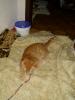 Minki und Ramses Minki und Ramses